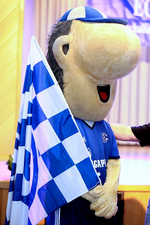 schalke-koblenz.de
